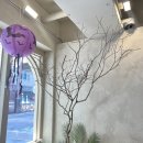 마카로너테이블 이미지