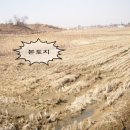 황해공인중개사사무소 이미지