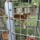 김경희농장 이미지