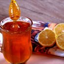 민원119 행정사사무소 이미지