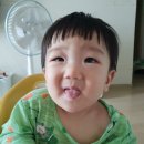 이가목장 이미지