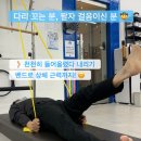 바디컨설팅 이미지