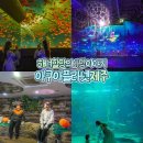 제주해양과학관 (아쿠아플라넷) | 제주도 실내 가볼만한곳 아쿠아플라넷 제주 여행 코스 놀거리