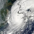 거대한 태풍 "매미"의 위성사진... 감상들하시길... 이미지