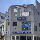 부평 토핑네일 - 유지력 높은 네일 / 애견동반 가능 네일아트