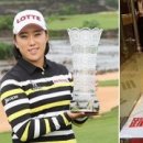 TV중고나라 이미지