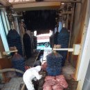 춘천농협주유소 이미지