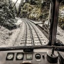 춘천남이섬애견가족전원마을펜션 이미지