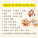 방영학 생활건강