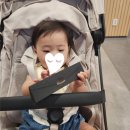 [아기와 함께 강릉여행] 오죽헌 강릉화폐전시관 + 감자크림탕수육이 유명한 육영탕수육 전문점 후기