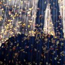 들꽃마을 이미지