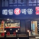 태영생막창 네이버블로그