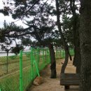 남애초등학교 이미지