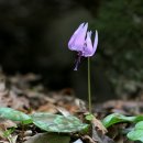 사기막골(2) 이미지