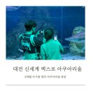 엑스포유치원 | 8개월 아기랑 다녀온 대전 엑스포 아쿠아리움 내돈내산 후기 | 대전 아기랑 갈만한 곳 추천