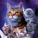 The Marvels 이미지