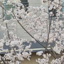 세차의고수 | 시흥 세창장 추천, 세차의고수 시흥시청점 리얼 후기