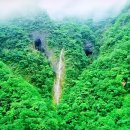 태전삼거리 교통섬 | 동강 백운산 칠족령_동강 할미꽃 청노루귀 산행 '26.3.30(월)