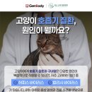 판교종합 동물병원 네이버블로그