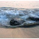 (주)아우성 이미지