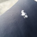 글로벌카센타 이미지