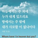 성구 Daum카페