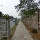 델리02