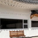 배동스테이 이미지