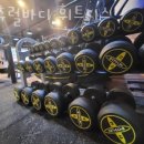 네츄럴 바디 휘트니스 | 괴정동헬스 네츄럴바디 휘트니스 피티 추천