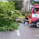 회수동-7 이미지