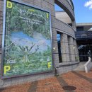 동강사진박물관 | 2025 영월 동강국제사진제 방문 후기ㅣ동강사진박물관