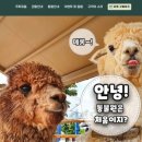 주토피움 키즈맘