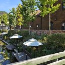 버드글램핑 이미지