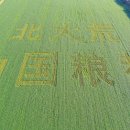 옛고구려 이미지