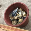 무한리필 돈 모아모아 이미지