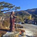 와우정사 이미지