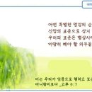 일일예화말슴묵상 2021년 5월 8일 (토) - 카네이션 꽃 이미지