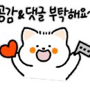 더채움공인중개사사무소 이미지