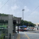 용과 서울 이미지