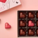 코코브루니 이미지