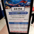 인어바위 인근 2 | 광교 아쿠아플라넷 수유실 인어공주 아기랑 가기 좋은 곳 후기