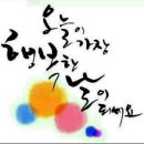 참맛 - 수원시 팔달구 경수대로 438 | 참맛