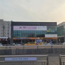 귀여운 고양이가 있는 대전 충남대 놀숲 후기