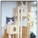 야옹아놀자 이미지