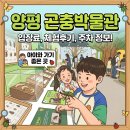 양평곤충박물관 | 양평 아이와 가볼만한곳 양평곤충박물관 입장료 주차 체험학습 리얼후기