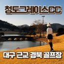 그레이스 | 경북 청도 골프장 청도 그레이스cc 라운딩 후기