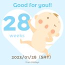 신시로16길1-28 | [임신27~28주일기] 입체초음파 찍고왔어요 ♡