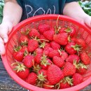 무내미농장 이미지