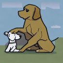 광주가톨릭대학교 이미지