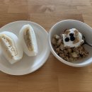 마라와나무 이미지